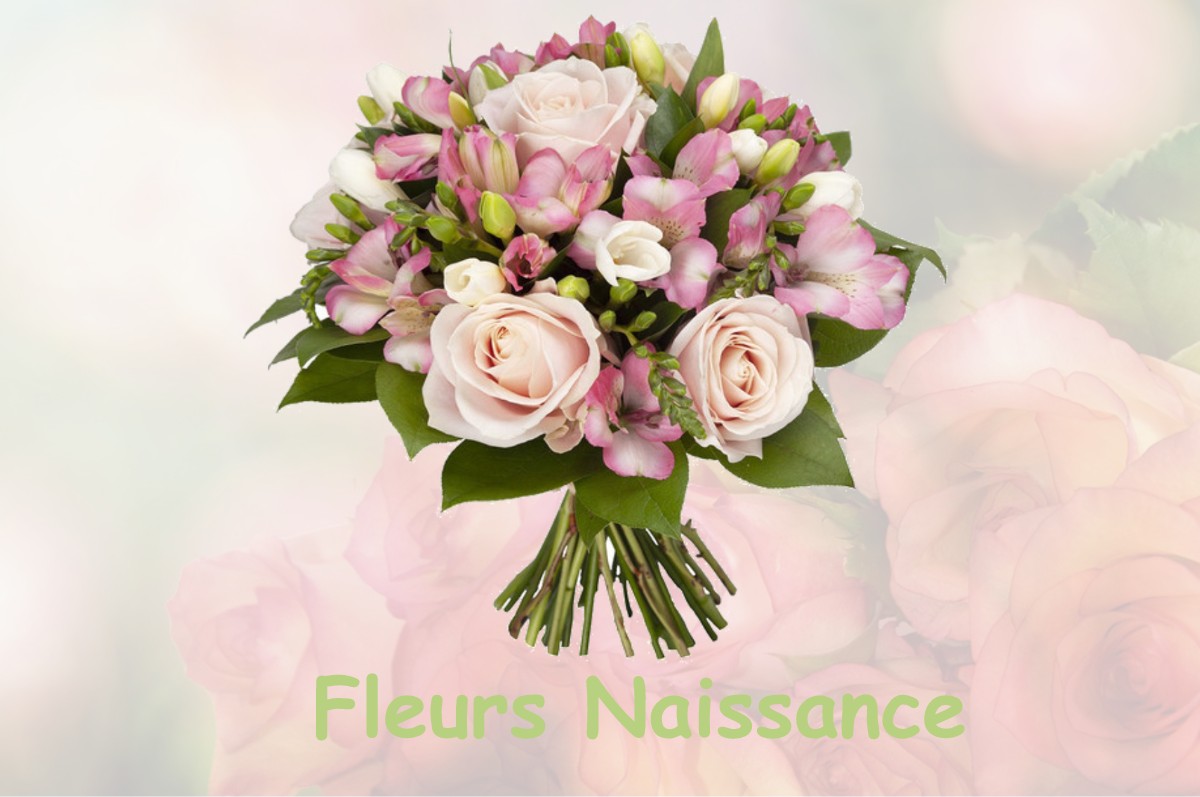 fleurs naissance SAINT-AUBIN-DE-LOCQUENAY